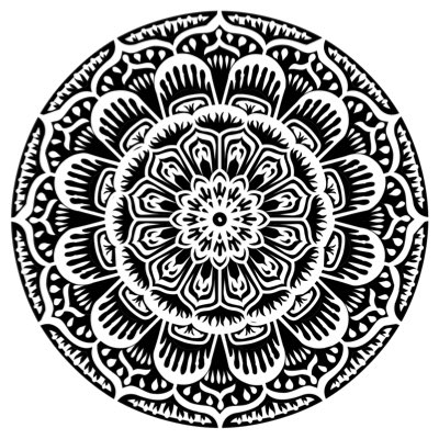 Alex Han tweet media