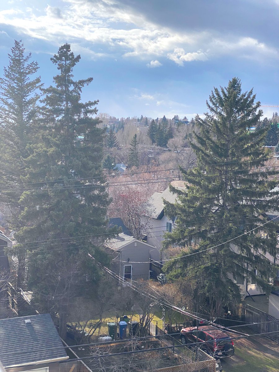 DonnaMarieArt1's tweet photo. "Look at the ocean and the sky filled with stars, manifestations from my wondrous mind." ~Thich Nhat Hanh
#sundayvibes
#balconyview #MayDay22
📷:#SundayYellow
#flowerwhisperer
🦋have great new week 🕊🍃🌼🍃 https://t.co/WeaV0RzzlA