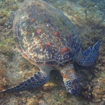 #NewProfilePic (新個人資料照片)