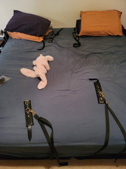 I got some fancy bed restraints (even has a middle restraint!) Wanna see how red my ass is? https://t