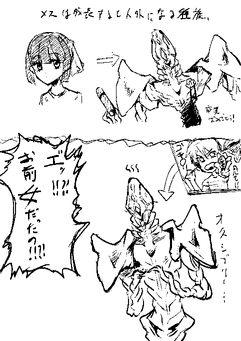 成長するとメスだけ人外になる種族… 
