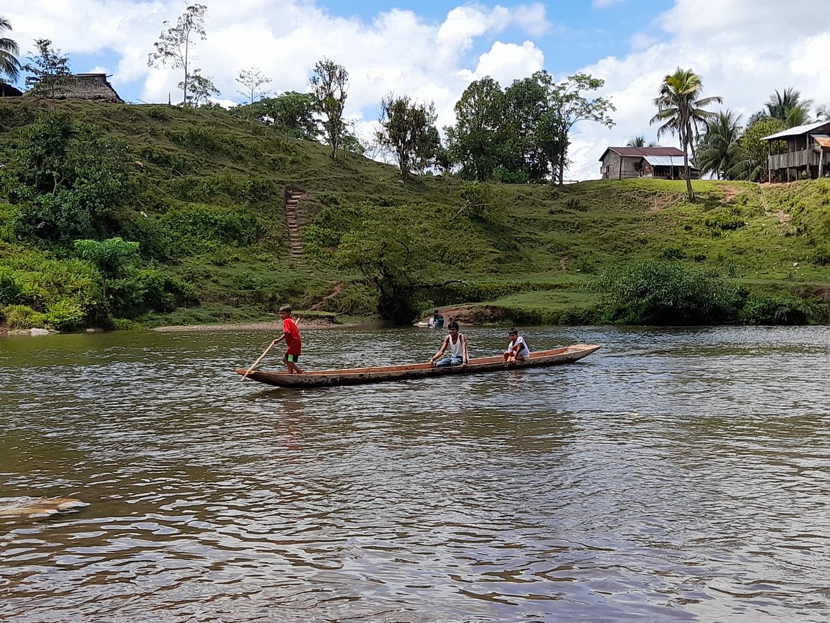 AlexdiazTyler's tweet photo. Comunidad de #Musawas en #Bonanza #CaribeNorte corazón de la Reserva Natural #Bosawas Pulmón de #Centroamerica 🌐 https://t.co/m7CEQ3RsI5 https://t.co/BQIhnDjLRs