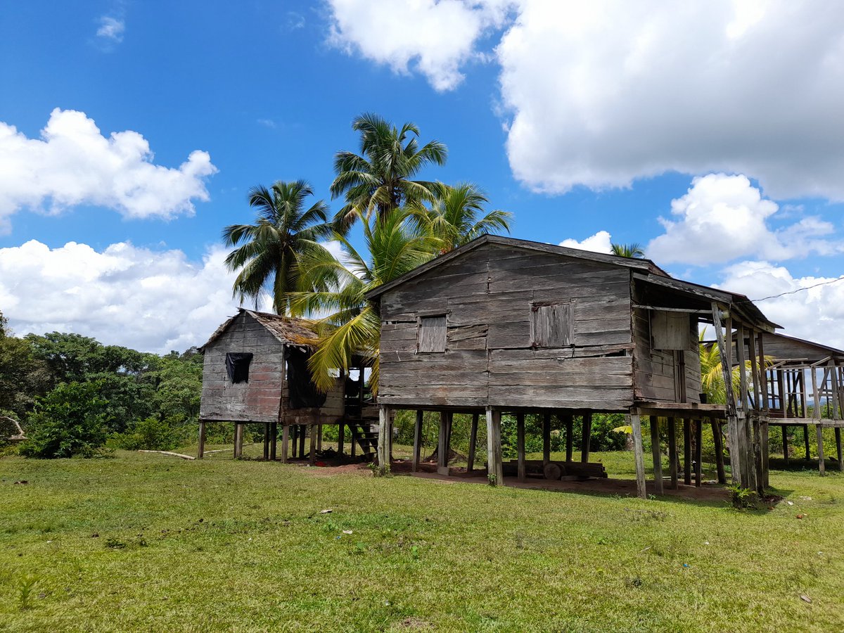AlexdiazTyler's tweet photo. Comunidad de #Musawas en #Bonanza #CaribeNorte corazón de la Reserva Natural #Bosawas Pulmón de #Centroamerica 🌐 https://t.co/m7CEQ3RsI5 https://t.co/BQIhnDjLRs