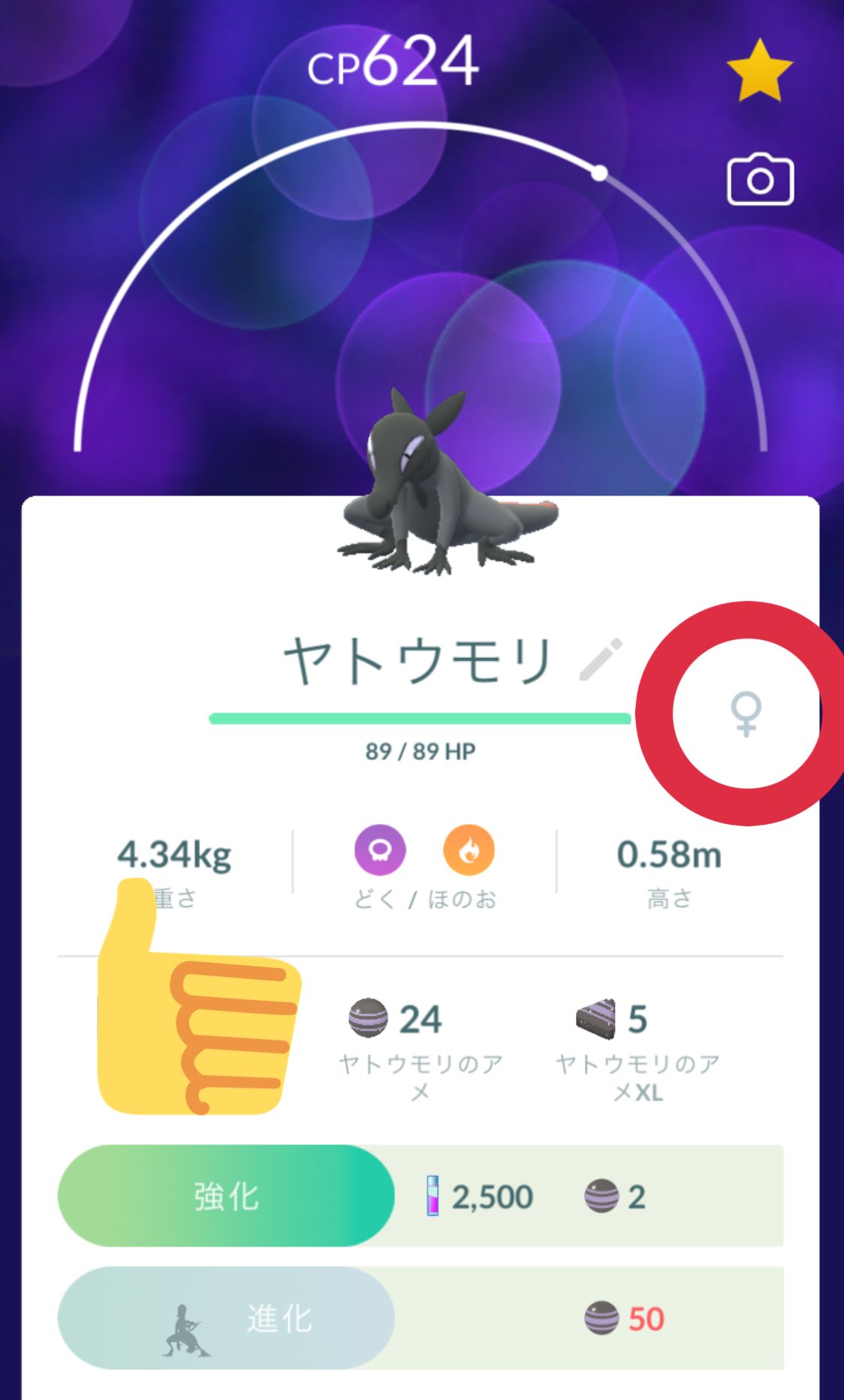 ヤトウモリ Twitter Search Twitter