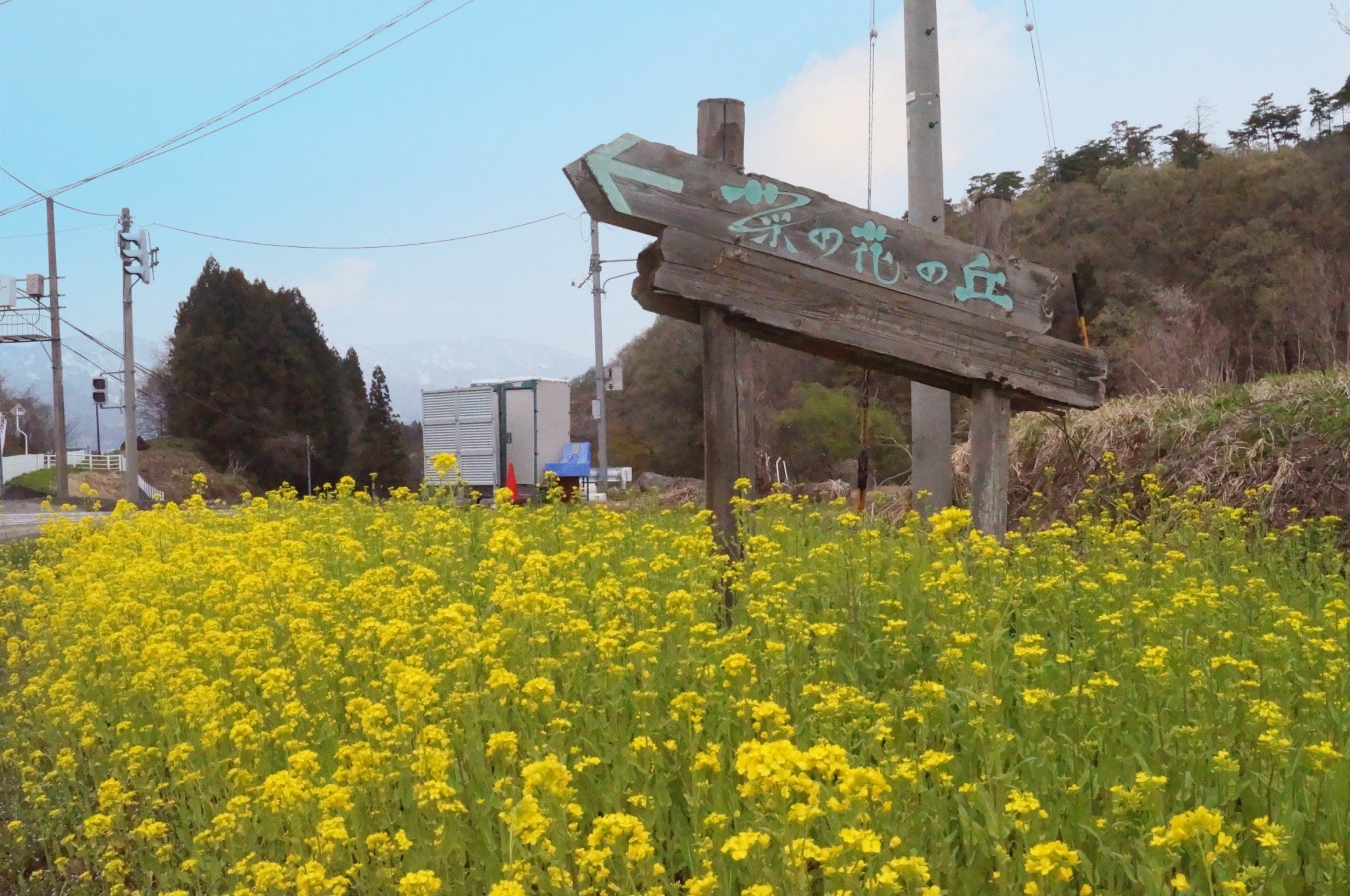 公式 野沢グランドホテル 飯山の菜の花公園は9分咲きになり 菜の花畑の見頃を迎えております ﾟ 5月3日 5日までは 菜の花まつりが開催されます 感染拡大防止のため各種イベントや露店の出店は行いません 駐車場料金は500円になります 飯山
