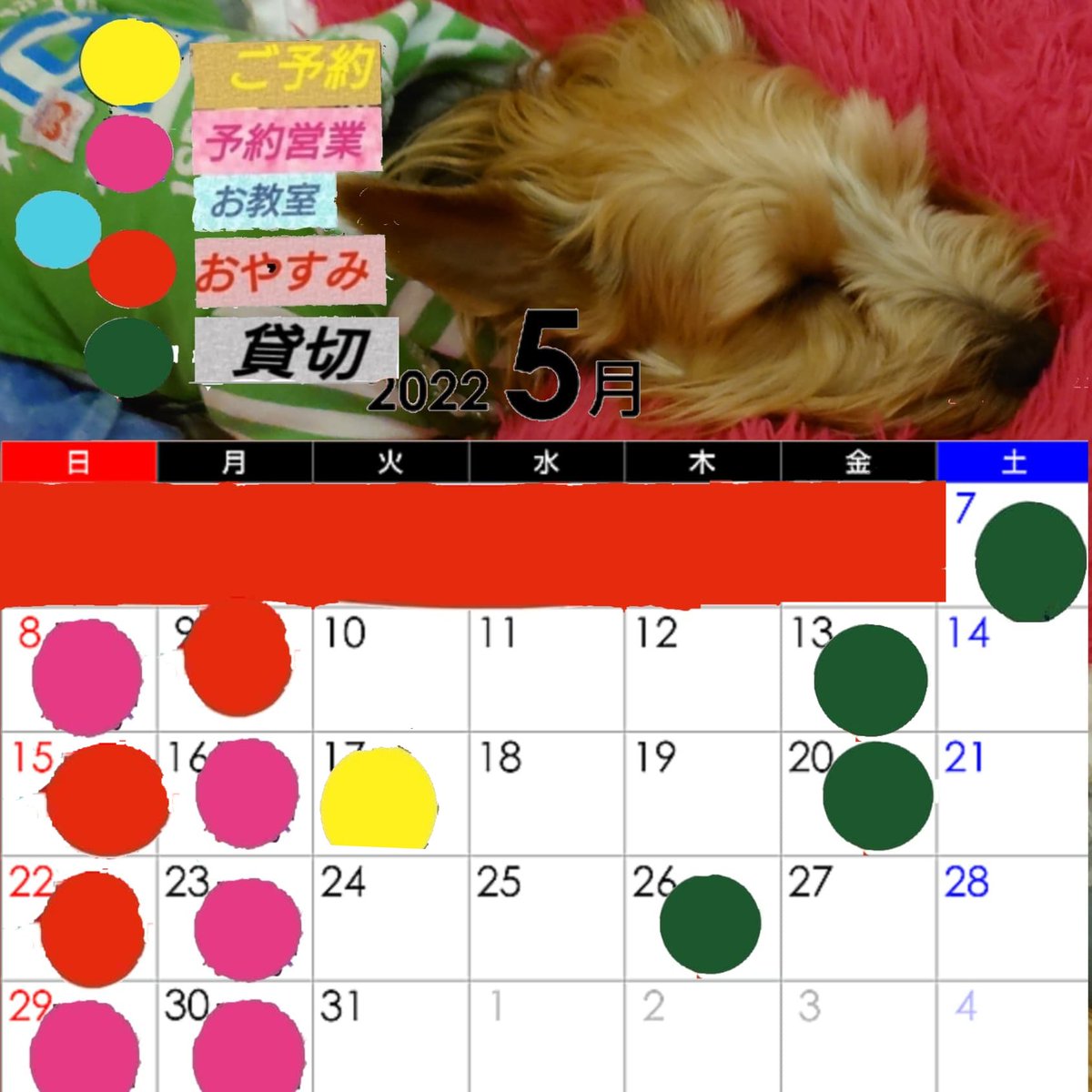 Peoplechan2's tweet photo. 5月のご予約も徐々に伺っております

貸切でなくてもお席の確保の分だけでもお声かけ頂ける方もいらっしゃいます

楽し���お時間のためにぜひご予約オススメです https://t.co/42m9l8fxGA https://t.co/E0CvmUEnoF