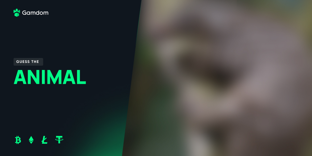 💸 $250 #Giveaway

This will be a tough one 😉

We'll select 10 correct answers randomly and award $25 to each account!

Rules: 👇

1️⃣ Tag a Friend
2️⃣ Must Like, Follow &amp; Retweet 
3️⃣ Ends 4th of May

#contest #Prize #competition #BTC #ETH

🔗 Gamdom.com