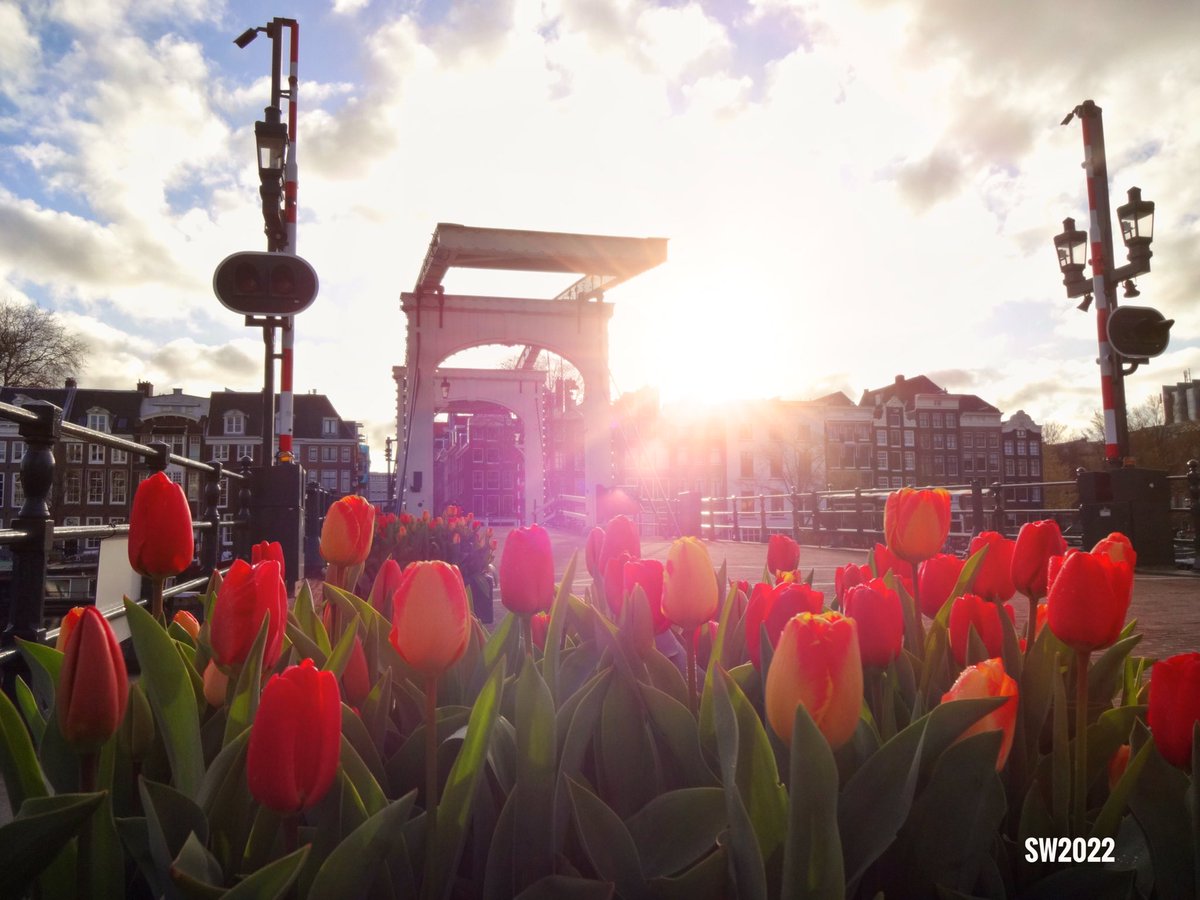 Looking towards the Magere Brug in Amsterdam