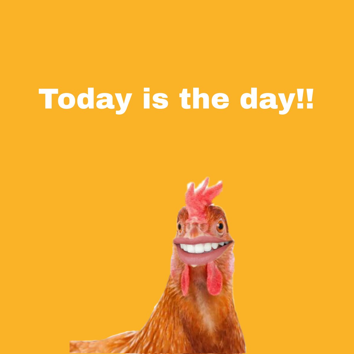 lockdown is lifted! You can let your flocks out! A fantastic and long awaited day 😀 

Thinking of those tens of thousands of birds whose lives were taken during this years outbreak😪

Here is a link to APHA for more information
fb://photo/2131761876989884?set=a.384738165025606