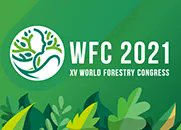 FransylvaFrance's tweet photo. Jour J : le 15ème congrès mondial de la foresterie à Séoul 🇰🇷 s'ouvre aujourd'hui. La France 🇫🇷 participe et @HortenseWiart, chargée de projet carbone chez Fransylva, représente les forestiers français, ainsi que l’association Forêt Sphère. 
👉 https://t.co/o29UVDBrtL https://t.co/5epIWyvoIz