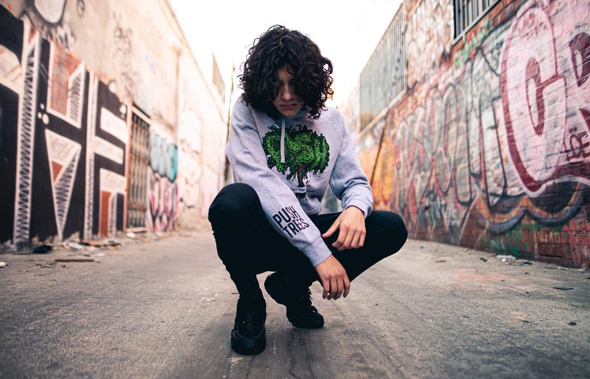 push_trees_'s tweet image. The OG Hoodie available exclusively at PushTrees.com 
#PushTreesClothing #PushTrees