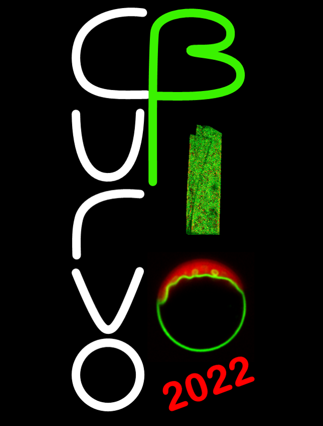agumangia's tweet photo. Registration for #CurvoBio 2022 is open!! 

No registration fees thanks to the support of @dfg_public and @jherzstiftung.

Registration + info here👉https://t.co/VLOWyagbCy

Join us in Berlin to discuss and learn about #curvature + #biology! 

🗓️August 24-26th

@MpiciPotsdam https://t.co/NV4ZdXSU8K