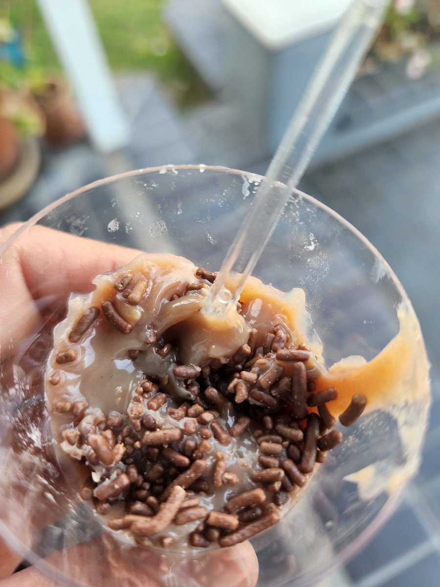 voluntaryasmine's tweet photo. Brigadeiro in a cup #Brazildesserts #tudubem https://t.co/UEPWO9QROZ