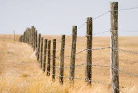 farmworldmike's tweet image. Looking for someone that does custom fencing. Need 1/2 mile of fence built. NE Saskatchewan.