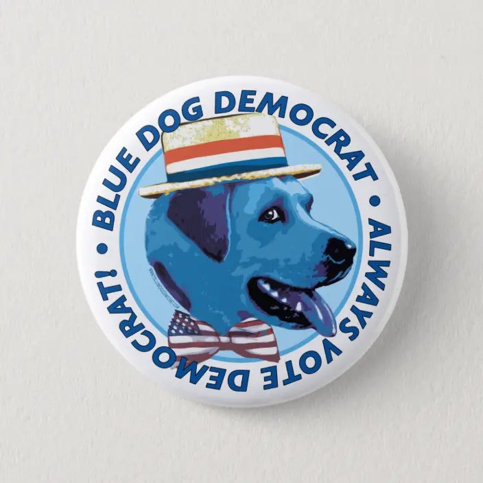 Kitorincognito's tweet photo. Blue Dog💙 I just like blue. I also love dogs. https://t.co/Kar3bsoKeX