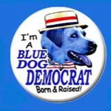 Kitorincognito's tweet photo. Blue Dog💙 I just like blue. I also love dogs. https://t.co/Kar3bsoKeX