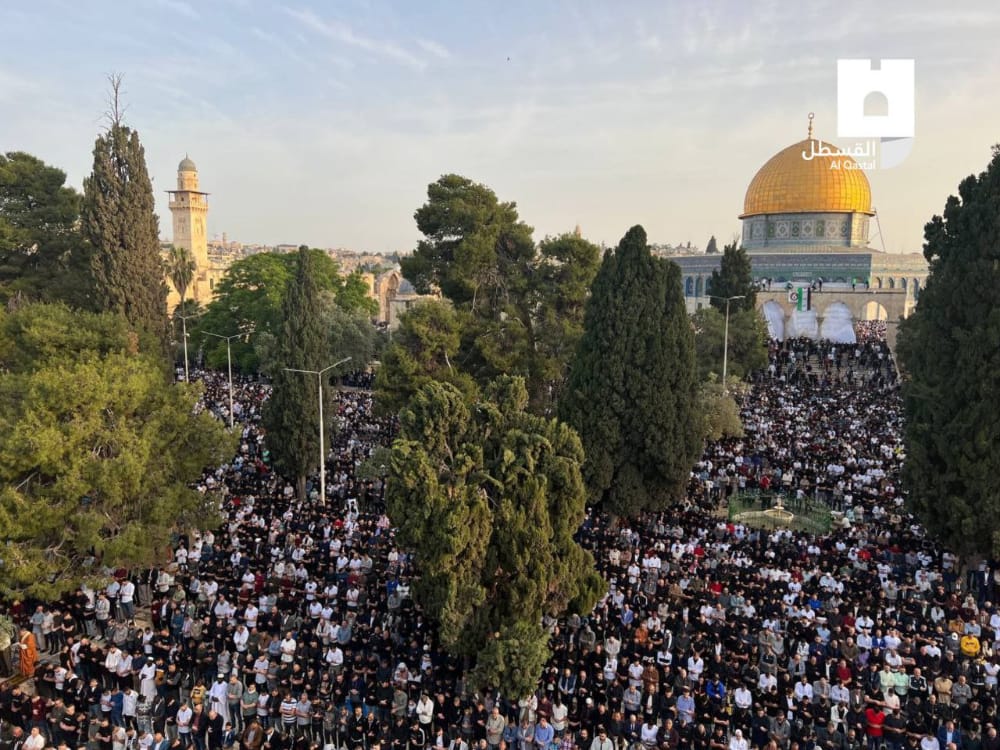 AyaIsleemEn's tweet photo. Eid prayer at Al-Aqsa Mosque https://t.co/YswXPwbt1e