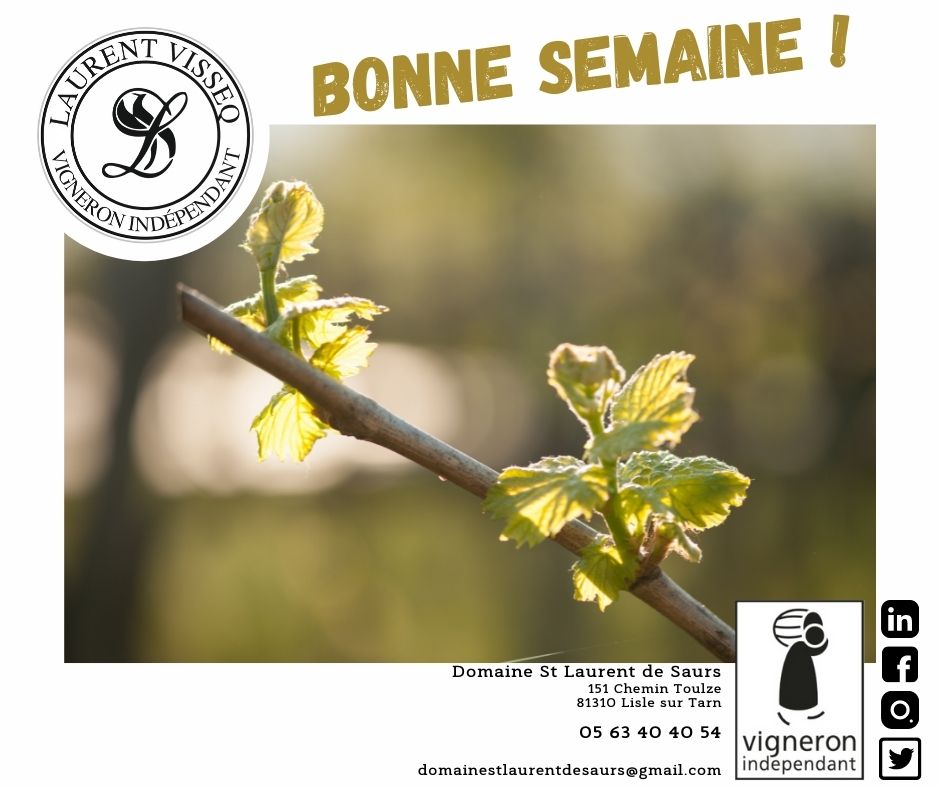 domainesls's tweet photo. [ ACTU / BONNE SEMAINE ]
Le @domainesls  vous souhaite une bonne nouvelle semaine !
#vinge #vignobles #domaineviticole  #vins #rouge #blanc #rose #tarn #occitanie #vigneronindependant #box #degustation #seminaire https://t.co/4VVTKMQolg