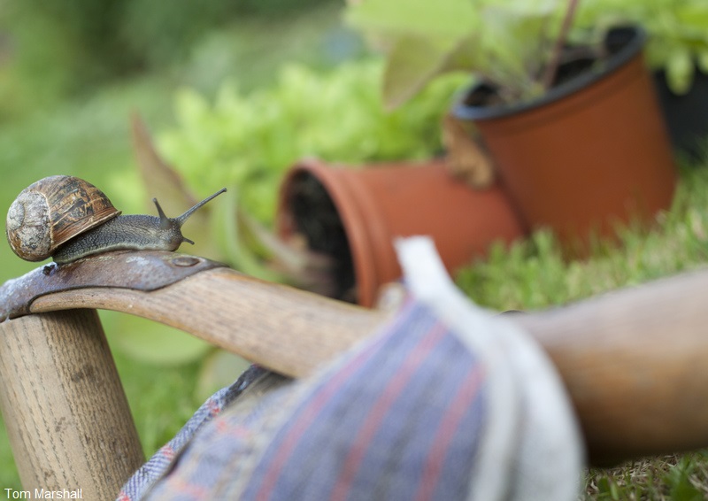 The Wildlife Trusts tweet media