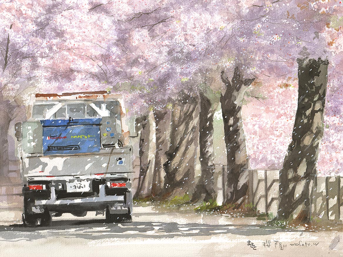 桜風景 2019年 #水彩画 #watercolor