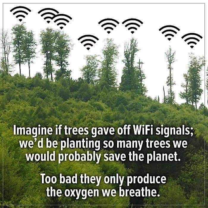 ClimateHeroIN's tweet photo. Imagine if trees gave off WiFi signals ; We'd be planting so many trees, we would probably save the Planet.

Too bad they only produce the oxygen we breathe!
Dear Humans, #RestoreOurEarth

#ClimateCrisis #FridaysForFuture #conservation #ClimateEmergency https://t.co/LKuHdD8cpD