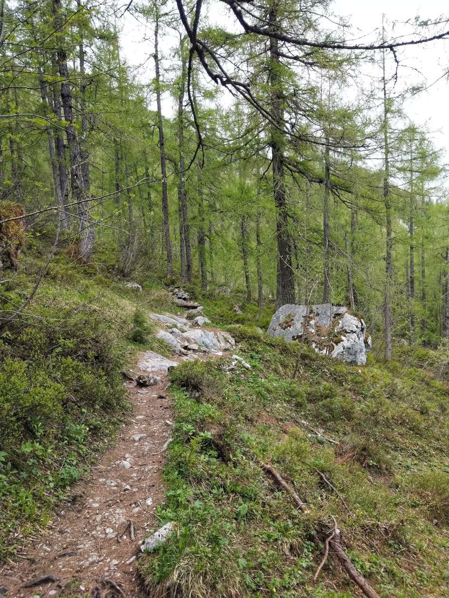 jaeger_d_berge's tweet photo. #TimeToTrailrun
Wird eigentlich mal wieder Zeit dem Hocheck einen Besuch abzustatten.
https://t.co/2NtfnvxVCq
#TrailrunningTuesday #Trailrunning #Trailrun #BeatYesterday https://t.co/NVQ1wOJAlM