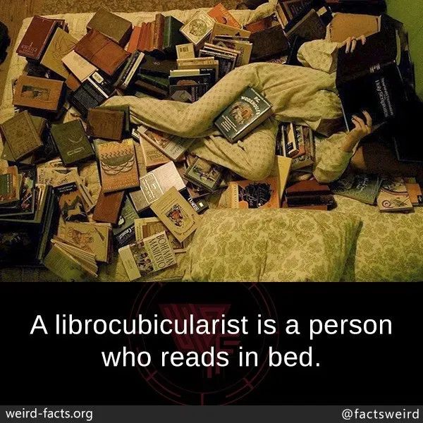 Ssaltypeachh's tweet photo. Literally how my bed looks rn
#booktwt https://t.co/9J6mol5unm