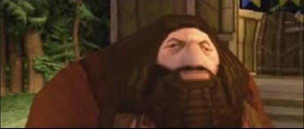 RT wenn du dich heute Morgen wie PS1 Hagrid fühlst 🤠