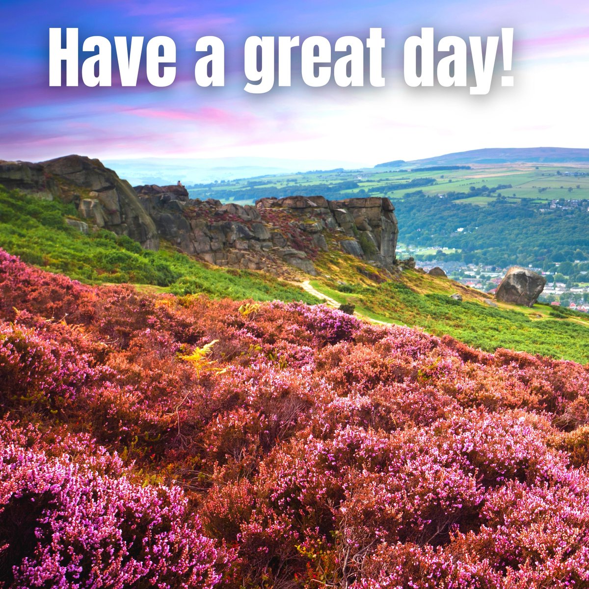 The Carriage tweet media