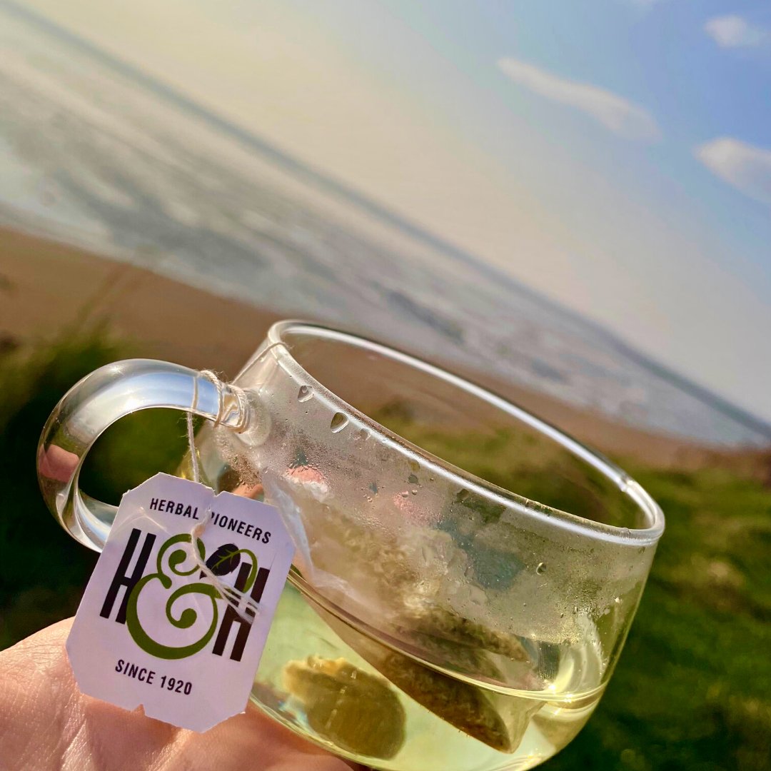 Our mornings begin with a cup of heath and heather, how do you start yours?💚

#MorningTime #MorningRituals #Spring #WakeMeUp #HerbalTea #HeathAndHeather #Organic