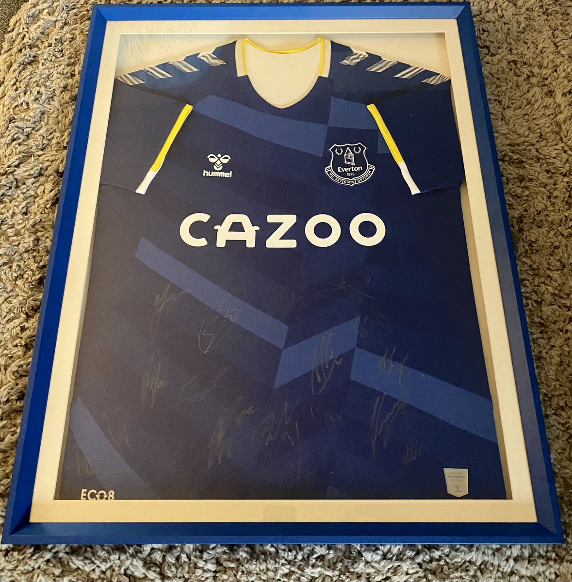 <a href="/OddiesWMC/">Oddies</a> love it thank you guys. #UTFO #luckyshirt #coyb #Everton #efc #Pickford #lampard #Richarlison