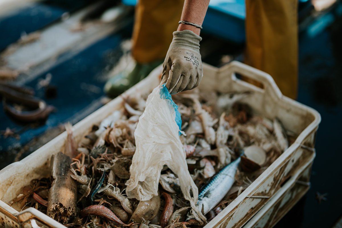 pesca_neta's tweet photo. 🚫 El que no reciclem o llencem correctament a les escombraries, acaba a la mar. Per un futur millor: Pesca Neta.
 
#pescaneta #mediterrània #mar #catalunya #accióclimàtica #noresidus #fnccp #confraries #pesca https://t.co/FMYIZm69TY