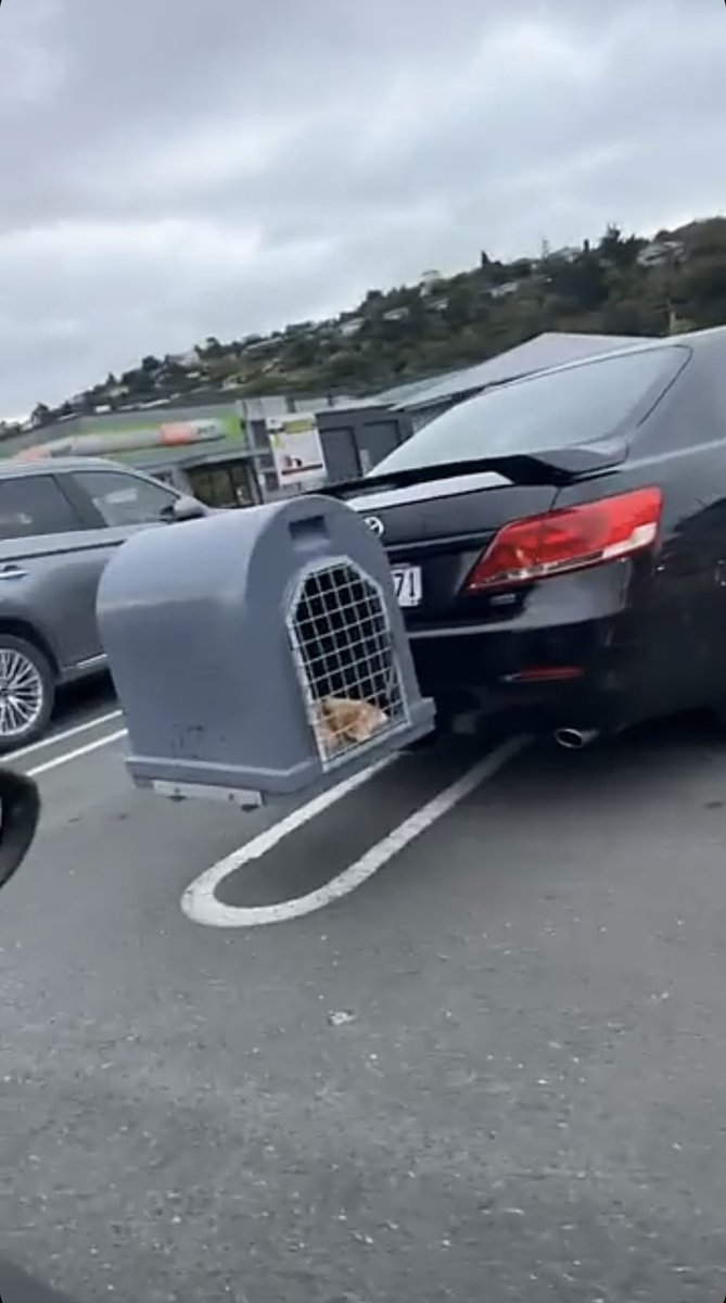 OnlyinNelsonNZ1's tweet photo. This spatially unaware drongo violates social norms by claiming two parking spaces for their car.
#badparking #OnlyInNelson https://t.co/mY0dX8JoRH