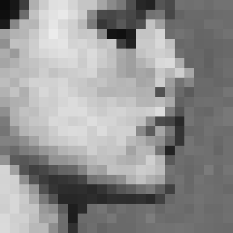 lilutaki's tweet photo. Another 24x24 monochromatic Portrait of a lovely woman posing in an artist's studio.
16ed / 1 #tez at @8bidou
https://t.co/OozutxXJD7
#8bidou #24bidou #Monochrome #nft #tezos #tezoscollectors #24x24 #24x24mono #bw #pixelmono #pixelart #lilutaki https://t.co/NErH3vIdHW