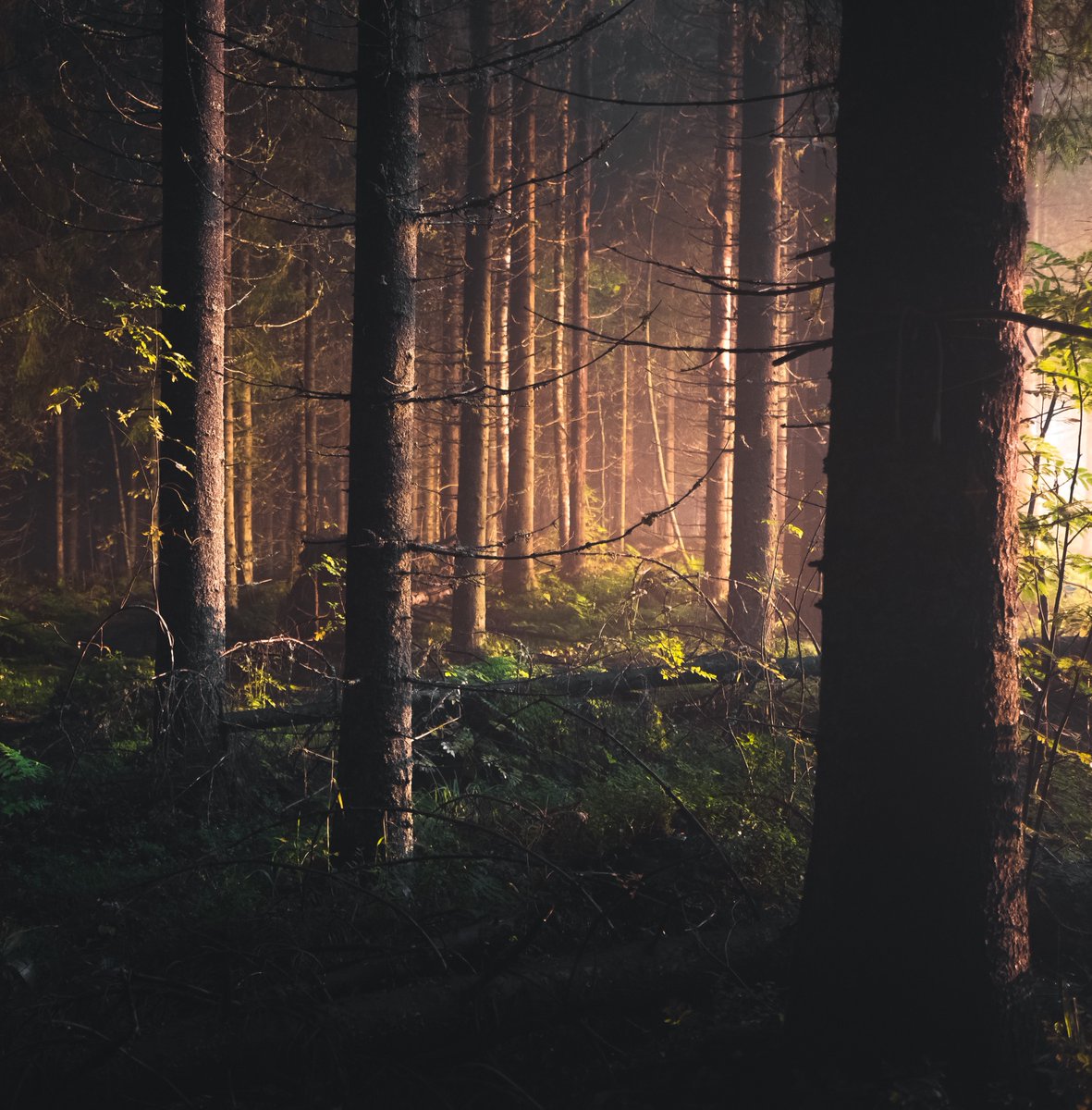 klofmag's tweet image. Listen to our latest Folk Show ft. Mama's Broke, Hannah Read &amp;amp; Michael Starkey, Pharis &amp;amp; Jason Romero, Rachel Baiman &amp;amp; Kris Drever, Kinnaris Quintet, Ye Vagabonds, Catrin Finch &amp;amp; Seckou Keita, Leyla McCalla, The Slocan Ramblers, Rev Simpkins &amp;amp; lots more. folkradio.co.uk/2022/05/folk-s…