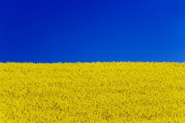 Belarus_Ukraine's tweet photo. A man in Orsha, #Belarus was sentenced to 10 days in jail for making souvenir badges depicting yellow fields and blue sky. This activity is classified by the officials as "picketing". #BelarusWithUkraine #StandWithUkraine #StandWithBelarus https://t.co/DnbilovsGl