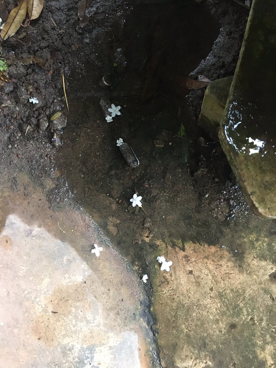 ✴︎ (@menopprth) on Twitter photo 