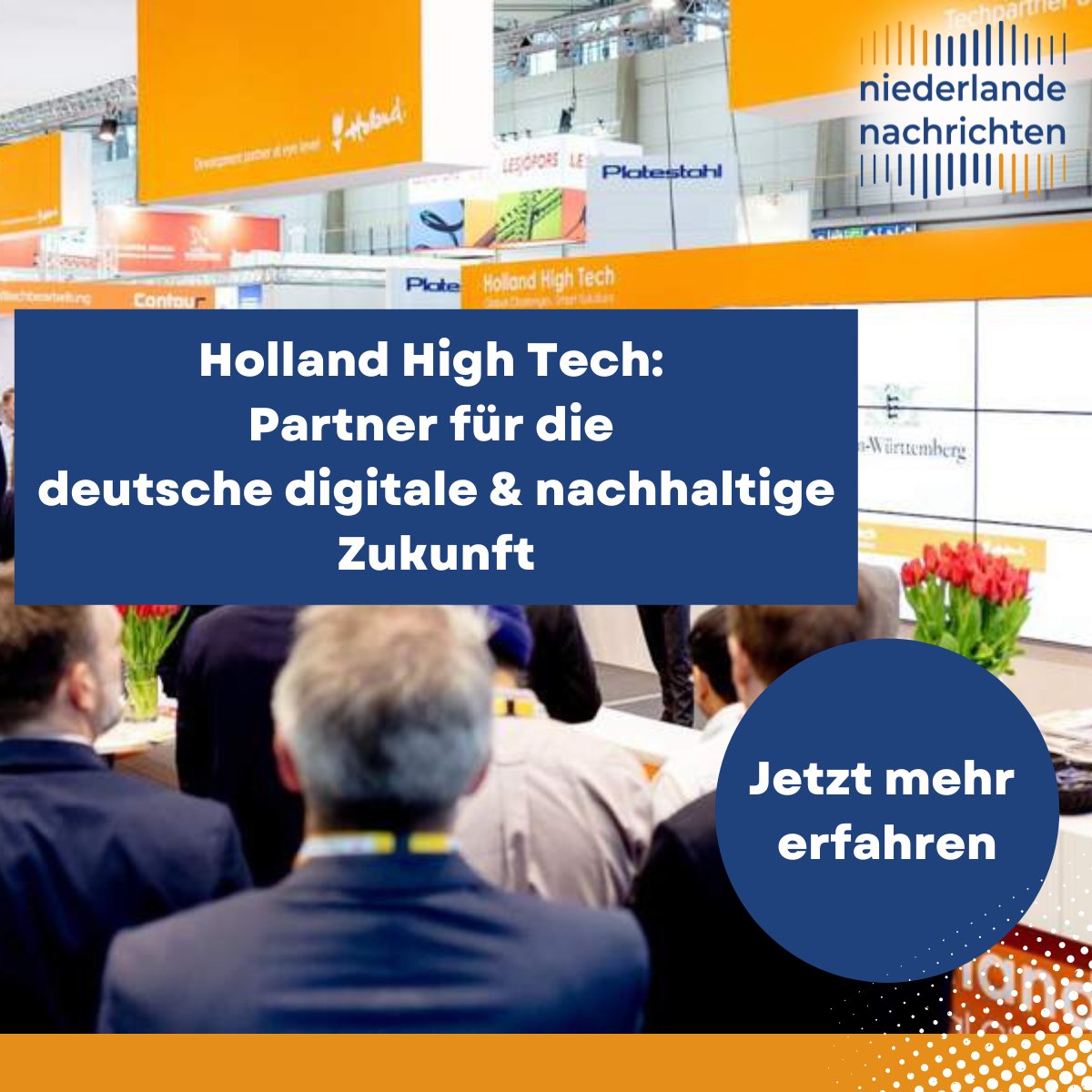 NiederlandeNachrichten.de tweet media