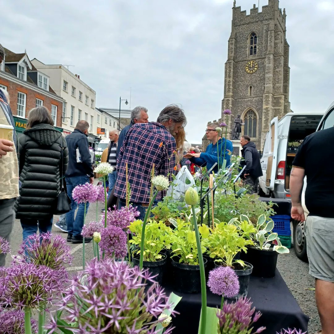 SudburyTC's tweet image. Lovely to have the annual plant fair back on #MarketHill #SudburySuffolk

18 East Anglian nurseries selling their beautiful 🪴! The event raises funds for @TheQuayTheatre 

See what's on in Sudbury 》
sudburytowncouncil.co.uk/upcomingevents