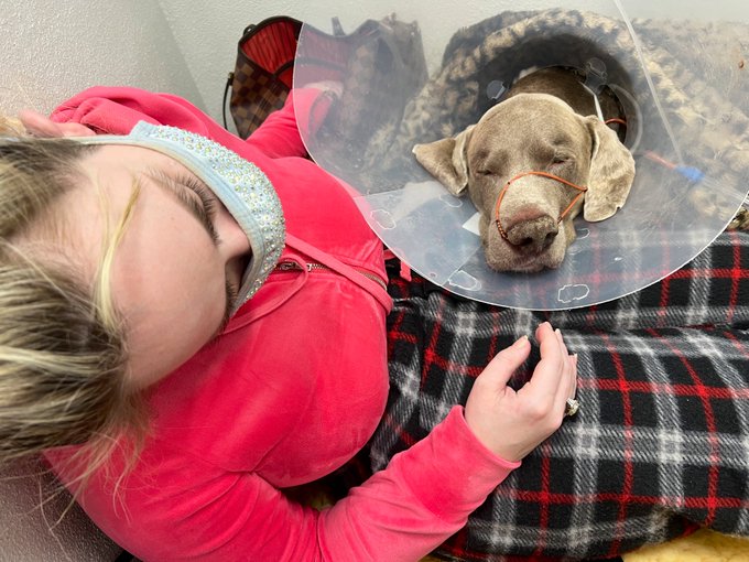 I know everyone has been asking me where I&rsquo;ve been unfortunately whywhy is in a better place no matter<a href="/tag/numberonefan"class="tags"><span>#numberonefan</span></a><a href="/tag/alwayssupportingmybrotherandi"class="tags"><span>#alwayssupportingmybrotherandi</span></a>