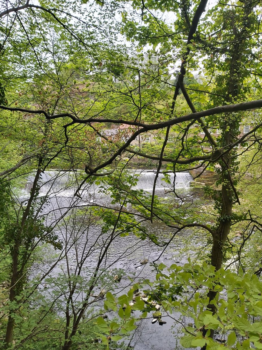 Alison Lowe OBE tweet media