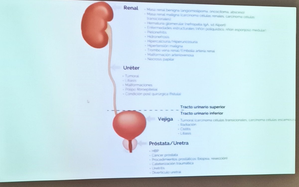 centrosaudebueu's tweet photo. 'Hematuria'
#repasamos #CSBueu #Bueumola #yaeslunes💪
#SesiónrederesidentesAgamfec
@Agamfec https://t.co/X2PtmMhceF