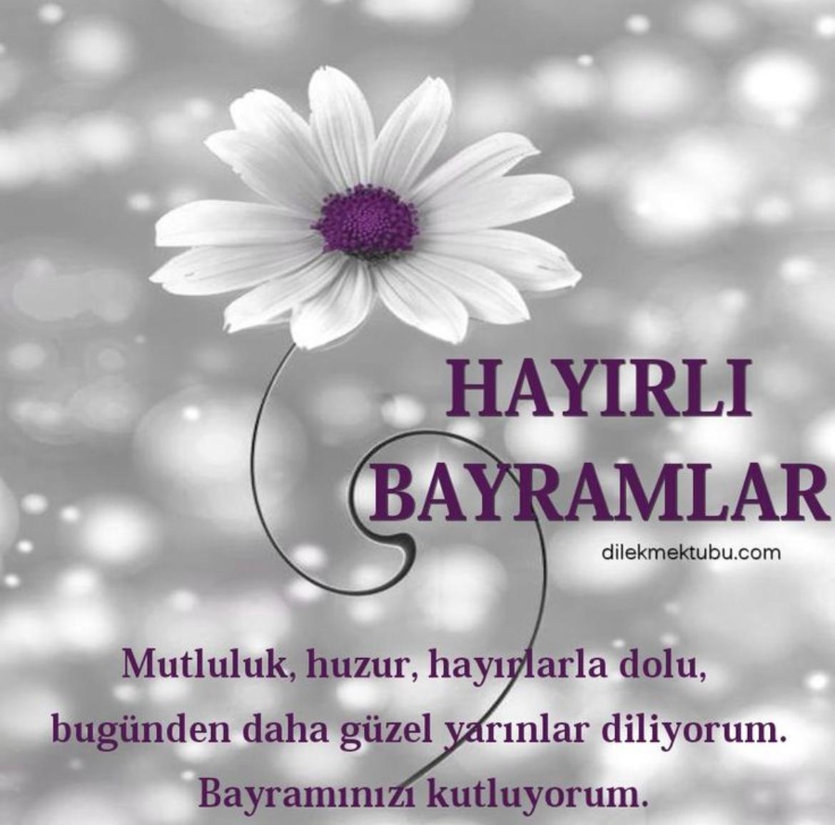 Mehmet Harun Üreten (@ureten_harun) on Twitter photo 