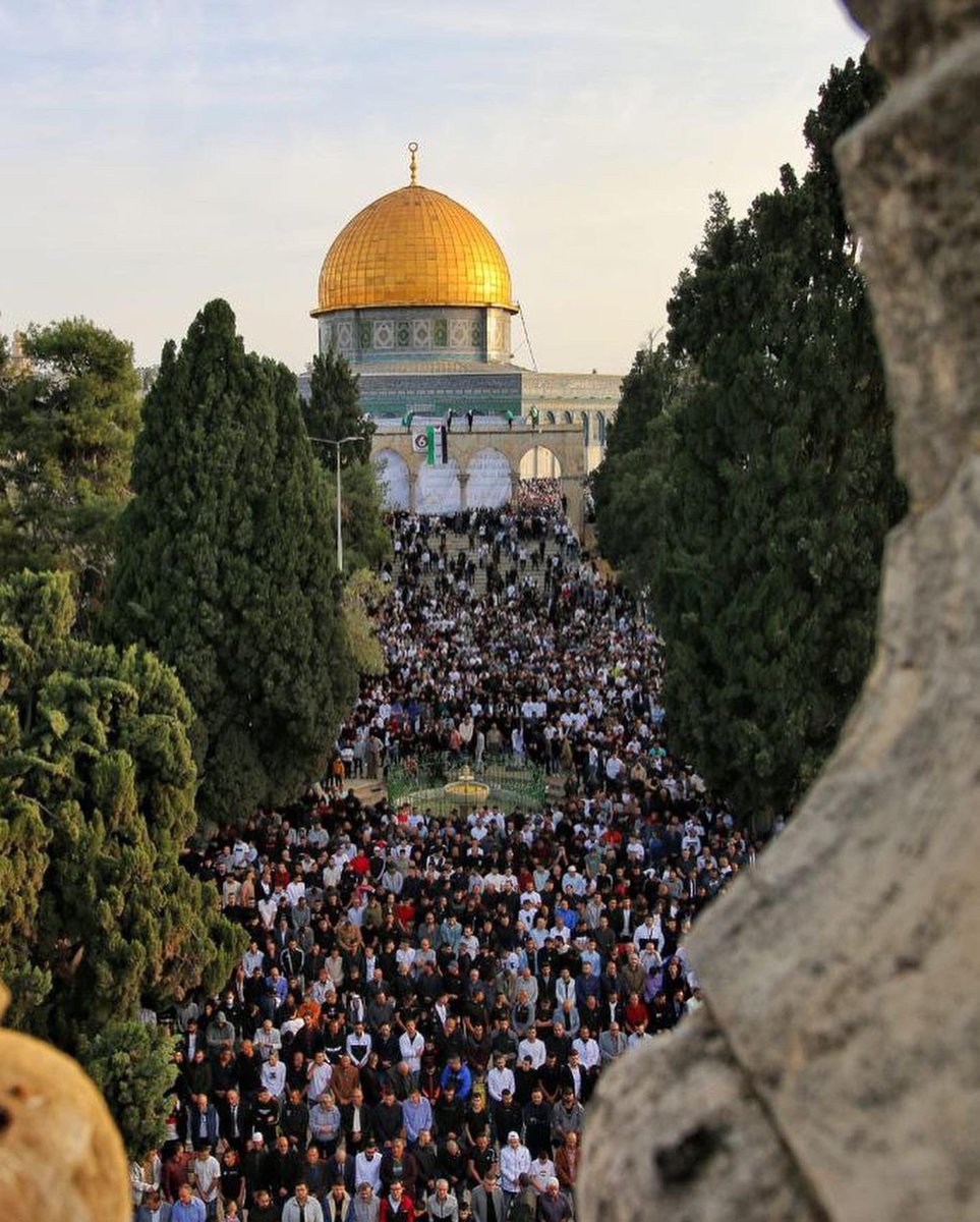 Alhamdhulillaah's tweet photo. Over 200,000 people attend Salat al-Eid in Masjid al-Aqsa https://t.co/oSxT61gUer
