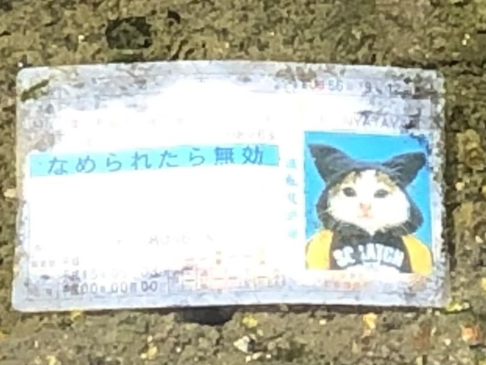 Ancoi Line絵文字発売中 Ancoixvoice Twitter