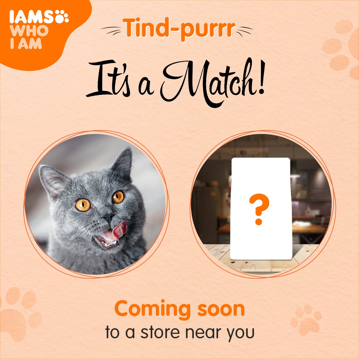 IndiaIams's tweet photo. Who is this mystery match? Stay tuned to find out!

#COMINGSOON #STAYTUNED

#IAMS #IAMSWhoIAm #TailoredNutrition #UniqueBest https://t.co/JXfDDhYhWo
