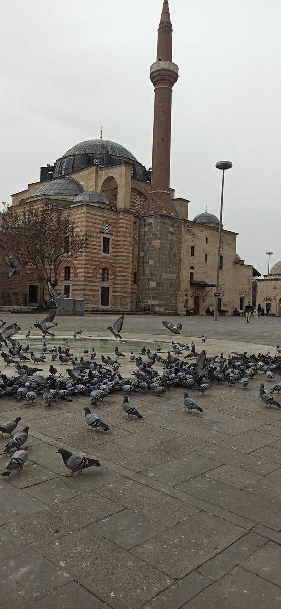 konyagram's tweet photo. Mutlu ve huzurlu bayramlar Konya 

📸 @Esracagunluk https://t.co/ic9EiMtKRx
