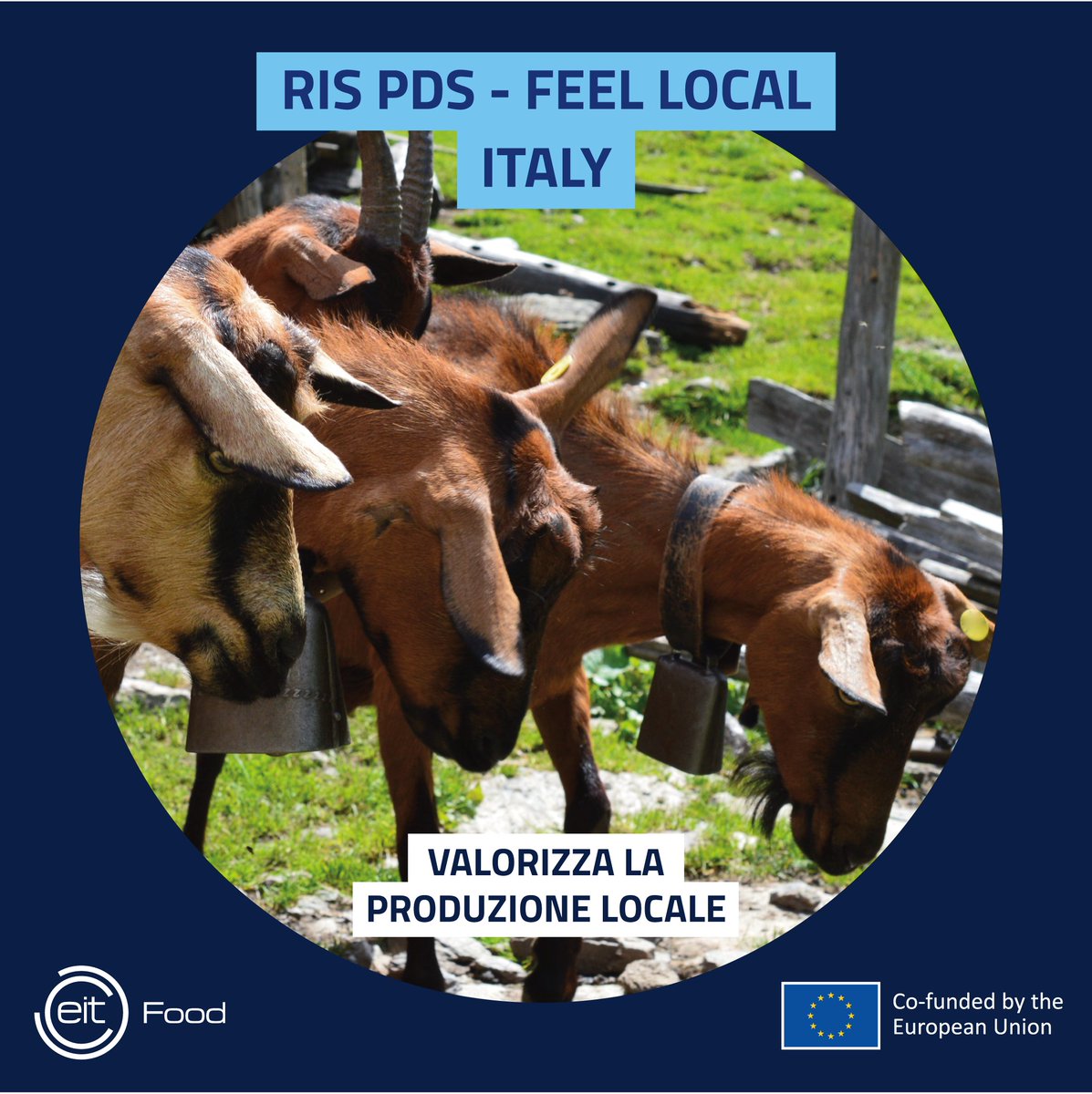 Vuoi partecipare a uno studio sulla consapevolezza in merito ai sistemi di produzione e alla qualità dei prodotti alimentari? 

Questo questionario richiederà pochi minuti, è anonimo e solo il gruppo di ricerca coinvolto avrà accesso ai dati! bit.ly/3KzPB8B 

@eitfood