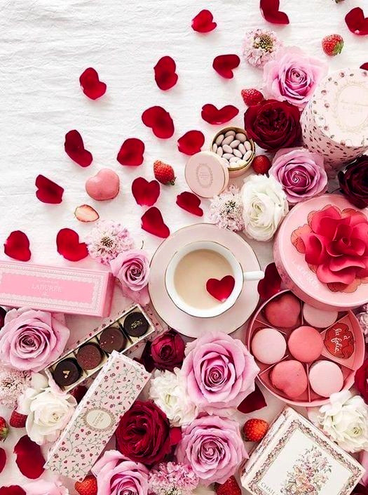 ginestarros's tweet photo. ♥️☕ƒ◯LL◯W
#1DDrive🔥

@HARRYS1DEMPIRE
@jlferguson50
@ganseykid @Tina1Queen
@DianeDaQueen @bluea125
@Mechis_M @BrettMGWV
@Aluddin19 @luisalarosa
@VeilleNoir @thudao76
@blsnjaja @Leonina_0108
@TheRealPope7 @DMalaggay
@Tangerine4545 @Siogo61
@IreneVarMex @lumpie125
@Olamide0264 https://t.co/GkKTw0mesX