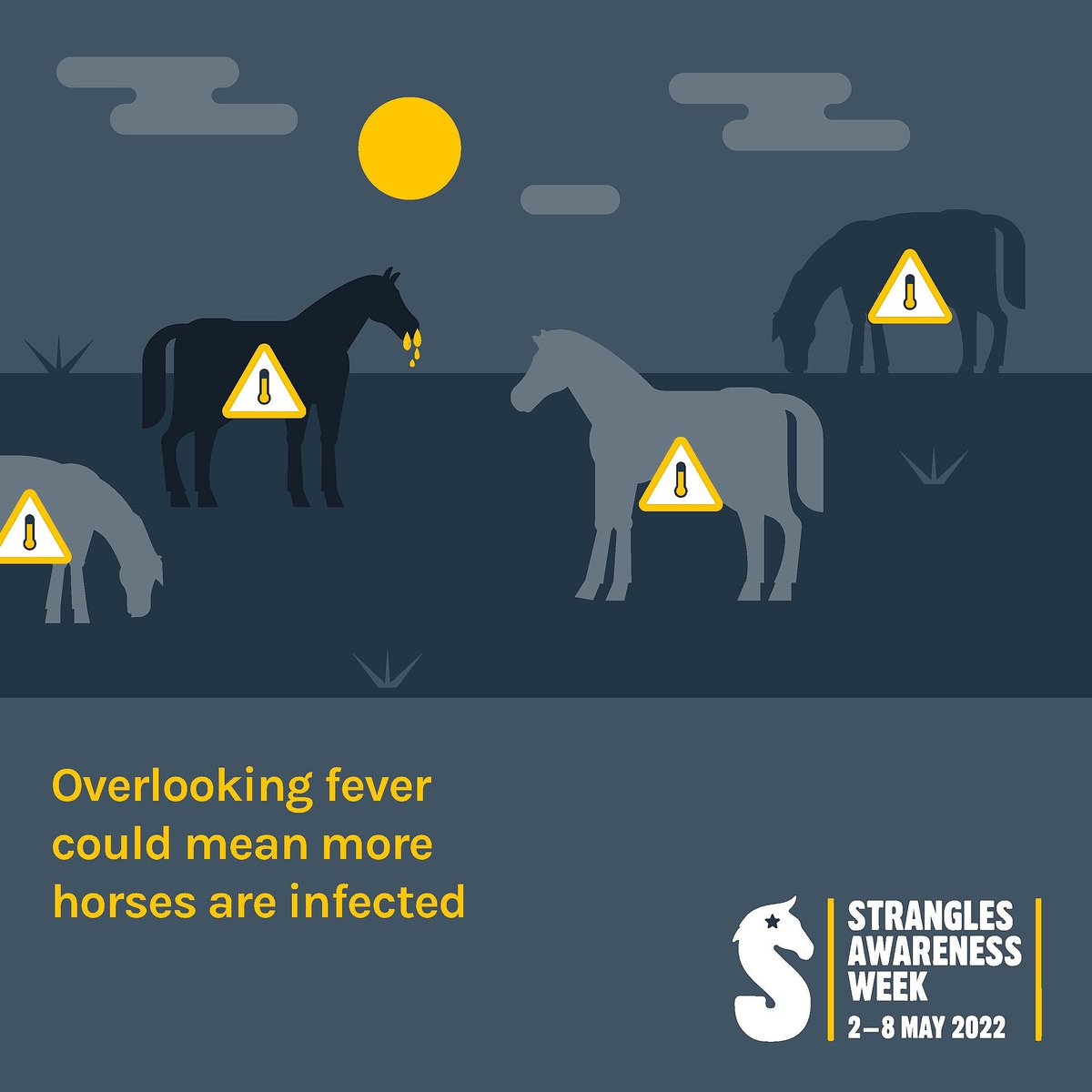 Strangles Awareness Week tweet media